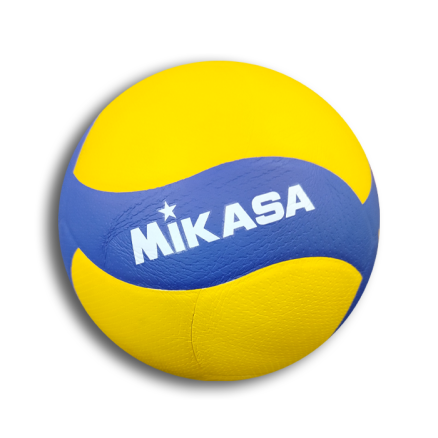 Professional Premium Volleyball _7129