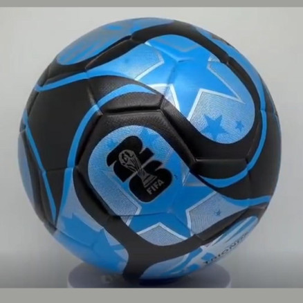 FIFA World Cup Professional Football _7134