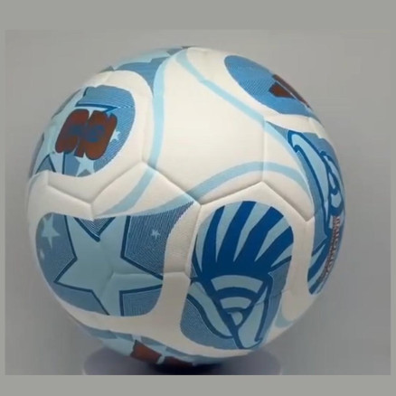 FIFA World Cup Professional Football _7135