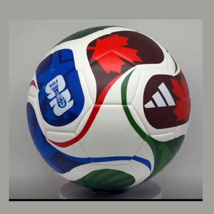 FIFA World Cup Professional Football _7136